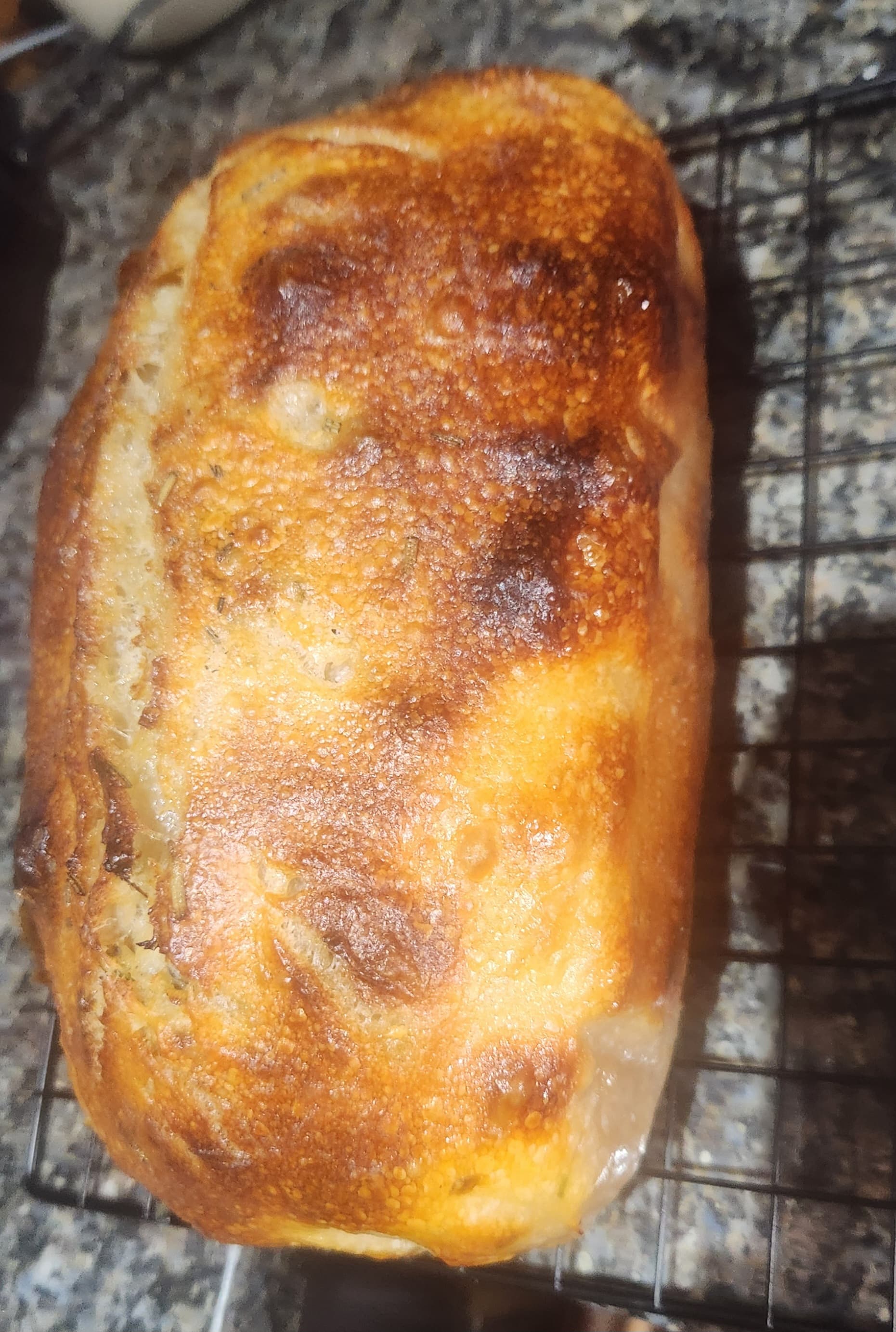 Cheddar Bay Sourdough Loaf